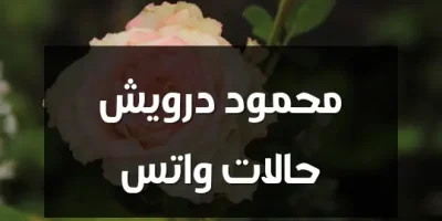 محمود درويش حالات واتس