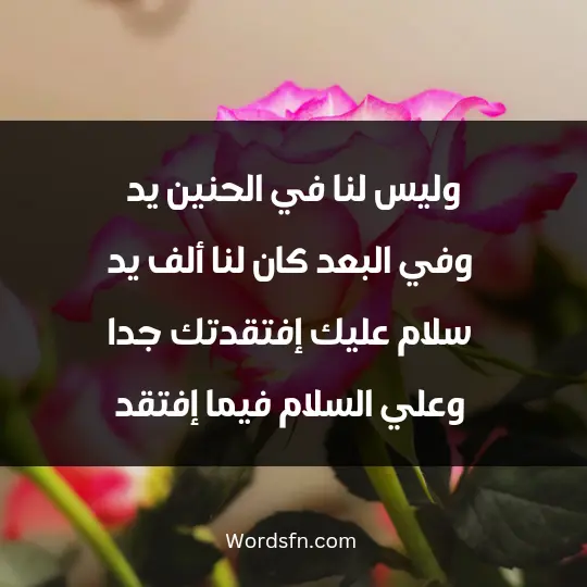 وليس لنا في الحنين يد... وفي البعد كان لنا ألف يد... سلام عليك، إفتقدتك جدا... وعلي السلام فيما إفتقد