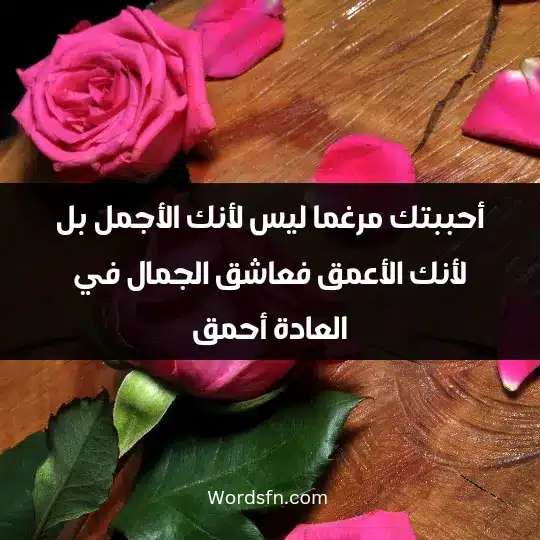 أحببتك مرغما ليس لأنك الأجمل بل لأنك الأعمق فعاشق الجمال في العادة أحمق