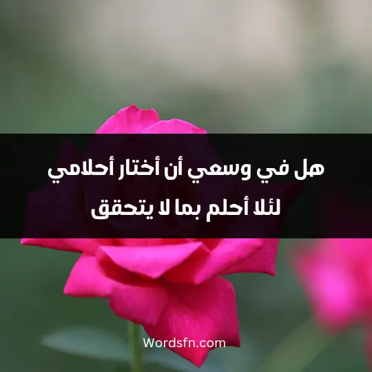 هل في وسعي أن أختار أحلامي، لئلا أحلم بما لا يتحقق