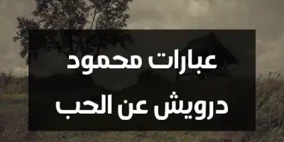 عبارات محمود درويش عن الحب