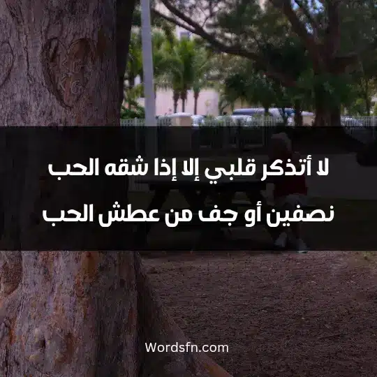لا أتذكر قلبي إلا إذا شقه الحب نصفين أو جف من عطش الحب.