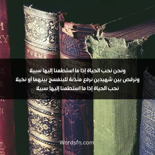 ونحن نحب الحياة إذا ما استطعنا إليها سبيلا ونرقص بين شهيدين نرفع مئذنة للبنفسج بينهما أو نخيلا نحب الحياة إذا ما استطعنا إليها سبيلا