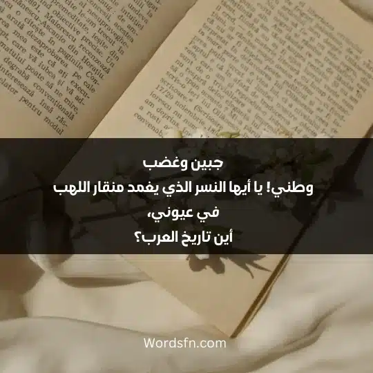 جبين وغضب وطني! يا أيها النسر الذي يغمد منقار اللهب في عيوني، أين تاريخ العرب؟