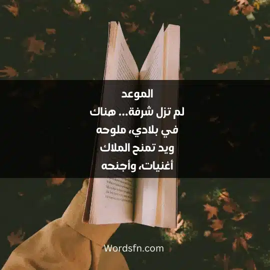 الموعد لم تزل شرفة... هناك في بلادي، ملوحه ويد تمنح الملاك أغنيات، وأجنحه