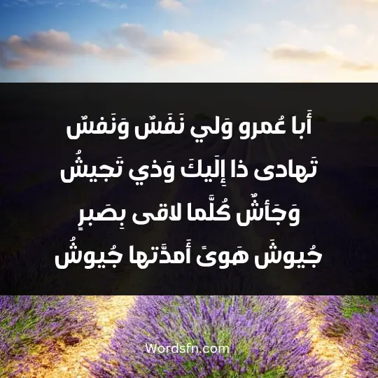 أَبا عُمرو وَلي نَفَسٌ وَنَفسٌ تَهادى ذا إِلَيكَ وَذي تَجيشُ وَجَأشٌ كُلَّما لاقى بِصَبرٍ جُيوشَ هَوىً أَمدَّتها جُيوشُ