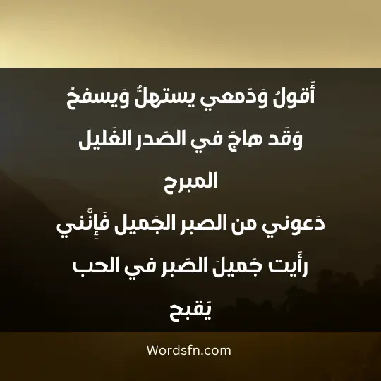 أَقولُ وَدَمعي يستهلُّ وَيسفحُ وَقَد هاجَ في الصَدر الغَليل المبرح دَعوني من الصبر الجَميل فَإِنَّني رأَيت جَميلَ الصَبر في الحب يَقبح
