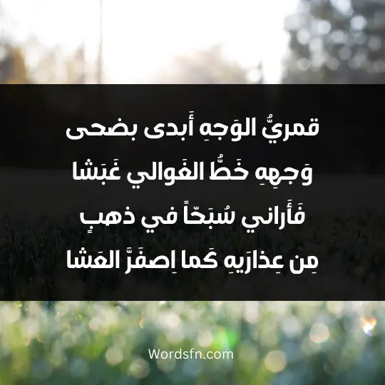قمريُّ الوَجهِ أَبدى بضحى وَجهِهِ خَطُّ الغَوالي غَبَشا فَأَراني سُبَحّاً في ذهبٍ مِن عِذارَيهِ كَما اِصفَرَّ العَشا