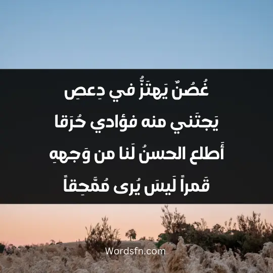 غُصُنٌ يَهتَزُّ في دِعصِ يَجتَني منه فؤادي حُرَقا أَطلع الحسنُ لَنا من وَجههِ قَمراً لَيسَ يُرى مُمَّحِقاً