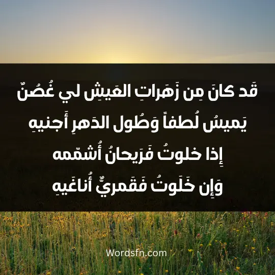 قَد كانَ مِن زَهَراتِ العَيشِ لي غُصُنٌ يَميسُ لُطفاً وَطُول الدَهرِ أَجنيهِ إِذا خلوتُ فَرَيحانُ أُشمّمه وَإِن خَلَوتُ فَقَمريٌّ أُناغَيهِ