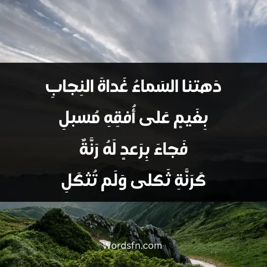 دَهتنا السَماءُ غَداةَ النِجابِ بِغَيمٍ عَلى أُفقِهِ مُسبلِ فَجاءَ بِرَعدٍ لَهُ رَنَّةٌ كَرَنَّةِ ثَكلى وَلَم تُثكَلِ