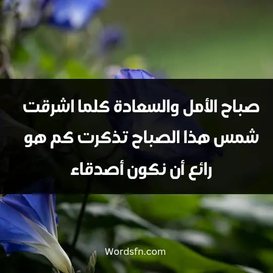 Morning thoughts for friends2 - فن العبارات صباح الأمل والسعادة! كلما اشرقت شمس هذا الصباح، تذكرت كم هو رائع أن نكون أصدقاء