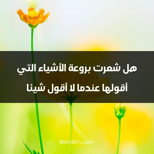 هل شعرت بروعة الأشياء التي أقولها عندما لا أقول شيئا