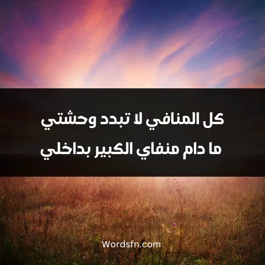 كل المنافي لا تبدد وحشتي... ما دام منفاي الكبير بداخلي