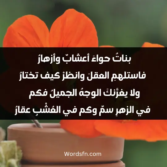 Poems about beauty2 - فن العبارات بناتُ حواءَ أعشابٌ وأزهارُ . . . . فاستلهمِ العقلَ وانظرْ كيف تختارُ ولا يغرَّنكَ الوجهُ الجميلُ فكم . . . . في الزهرِ سمٌ وكم في العُشْبِ عقارُ