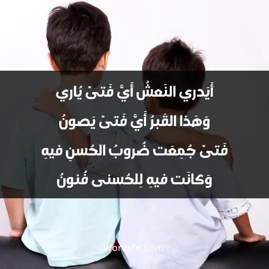 Poems about brothers1 - فن العبارات أَيَدري النَعشُ أَيَّ فَتىً يُاري وَهَذا القَبرُ أَيَّ فَتىً يَصونُ فَتىً جُمِعَت ضُروبُ الحُسنِ فيهِ وَكانَت فيهِ لِلحُسنى فُنونُ
