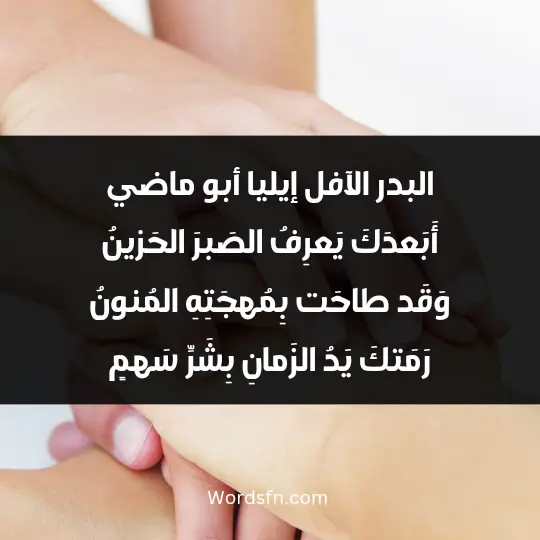 Poems about brothers2 - فن العبارات البدر الآفل إيليا أبو ماضي أَبَعدَكَ يَعرِفُ الصَبرَ الحَزينُ وَقَد طاحَت بِمُهجَتِهِ المُنونُ رَمَتكَ يَدُ الزَمانِ بِشَرِّ سَهمٍ