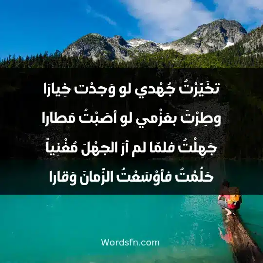 Poems of Abu Al-Ala Al-Maarri1 - فن العبارات تخَيّرْتُ جُهْدي لو وَجدْت خِيارَا وطِرْتَ بعَزْمي لو أصَبْتُ مَطارا جَهِلْتُ فلمّا لم أرَ الجهْلَ مُغْنِياً حَلُمْتُ فأوْسَعْتُ الزّمانَ وَقارا