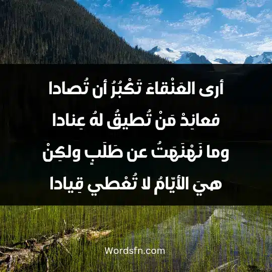 Poems of Abu Al-Ala Al-Maarri3 - فن العبارات أرى العَنْقاءَ تَكْبُرُ أن تُصادا فعانِدْ مَنْ تُطيقُ لهُ عِنادا وما نَهْنَهَتُ عن طَلَبٍ ولكِنْ هيَ الأيّامُ لا تُعْطي قِيادا