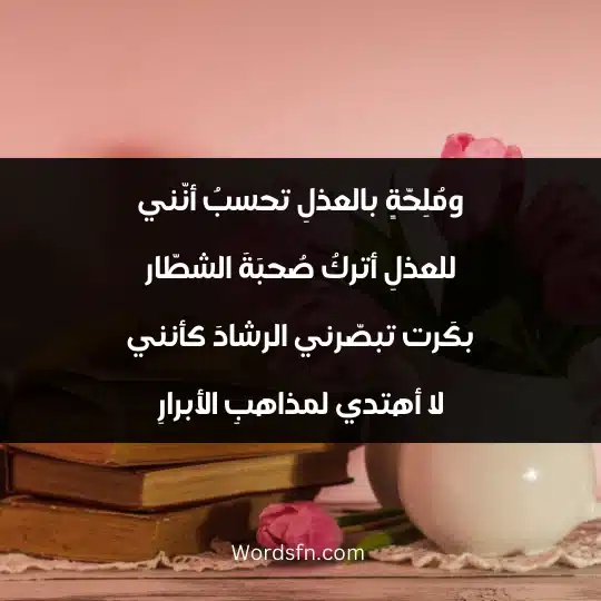 Poems of Abu Nawas 2 - فن العبارات ومُلِحّةٍ بالعذلِ تحسبُ أنّني