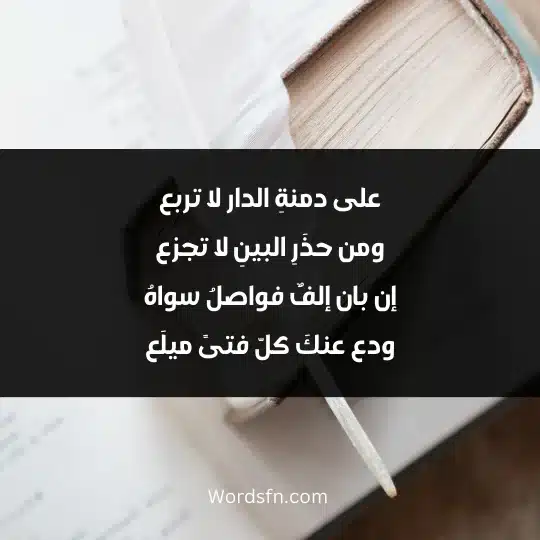 Poems of Abu Nawas 3 - فن العبارات على دمنةِ الدار لا تربع ومن حذَرِ البينِ لا تجزع