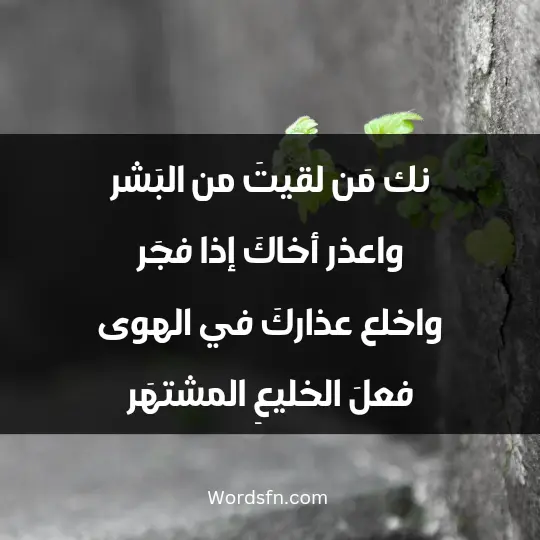 نك مَن لقيتَ من البَشر واعذر أخاكَ إذا فجَر واخلع عذاركَ في الهوى فعلَ الخليعِ المشتهَر