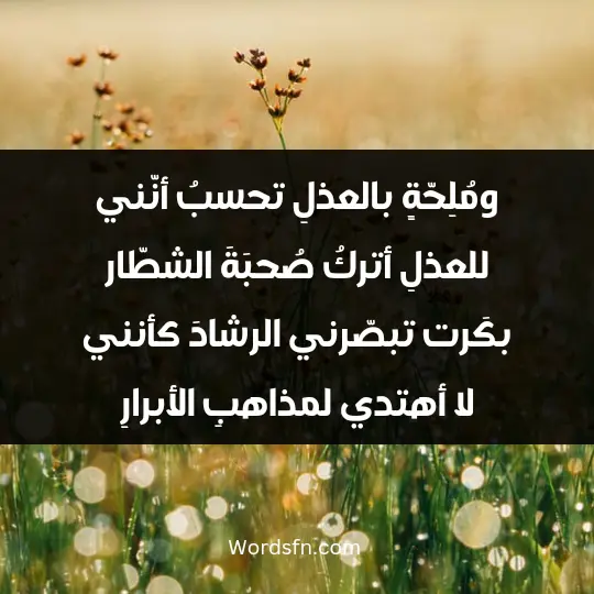 ومُلِحّةٍ بالعذلِ تحسبُ أنّني للعذلِ أتركُ صُحبَةَ الشطّار بكَرت تبصّرني الرشادَ كأنني لا أهتدي لمذاهبِ الأبرارِ