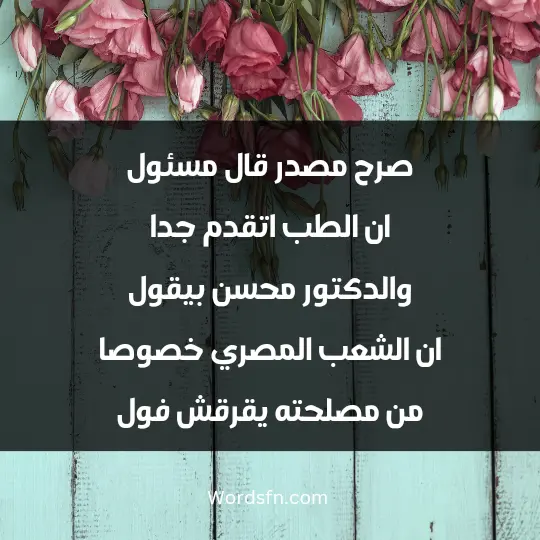 صرح مصدر قال مسئول ان الطب اتقدم جدا والدكتور محسن بيقول ان الشعب المصري خصوصا من مصلحته يقرقش فول