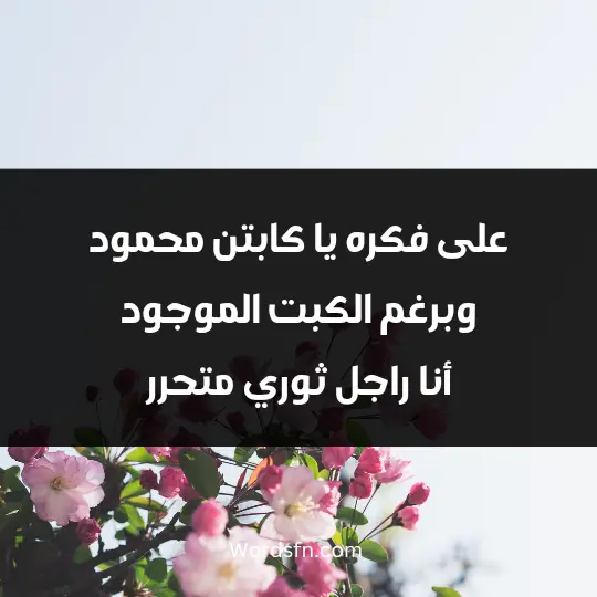 على فكره يا كابتن محمود وبرغم الكبت الموجود أنا راجل ثوري متحرر