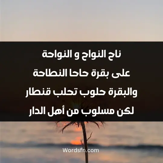 ناح النواح و النواحة على بقرة حاحا النطاحة. والبقرة حلوب تحلب قنطار لكن مسلوب من أهل الدار