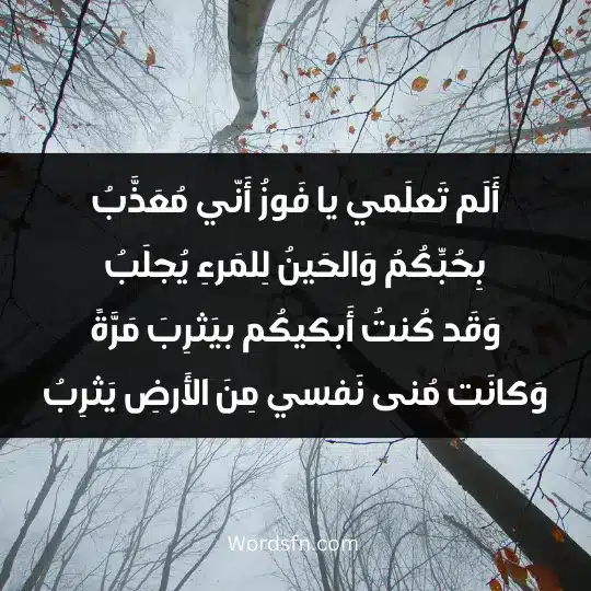 Poems of Al-Abbas Ibn Al-Ahnaf2 - فن العبارات أَلَم تَعلَمي يا فَوزُ أَنّي مُعَذَّبُ بِحُبِّكُمُ وَالحَينُ لِلمَرءِ يُجلَبُ وَقَد كُنتُ أَبكيكُم بيَثرِبَ مَرَّةً وَكانَت مُنى نَفسي مِنَ الأَرضِ يَثرِبُ