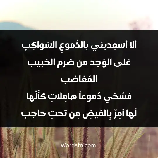 Poems of Al-Abbas Ibn Al-Ahnaf3 - فن العبارات أَلا أَسعِديني بِالدُّموعِ السَواكِبِ عَلى الوَجدِ مِن صَرمِ الحَبيبِ المُغاضِبِ فَسُحّي دُموعاً هامِلاتٍ كَأَنَّها لَها آمِرٌ بِالفَيضِ مِن تَحتِ حاجِبِ