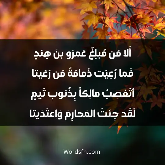 أَلا مَن مُبلِغٌ عَمرَو بنَ هِندٍ فَما رُعِيَت ذَمامَةُ مَن رَعَيتا أَتَغصِبُ مالِكاً بِذُنوبِ تَيمٍ لَقَد جِئتَ المَحارِمَ وَاِعتَدَيتا