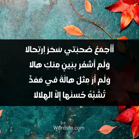 أَأَجمَعُ صُحبَتي سَحَرَ اِرتِحالا وَلَم أَشعُر بِبَينٍ مِنكِ هالا وَلَم أَرَ مِثلَ هالَةَ في مَعَدٍّ تُشَبَّهُ حُسنَها إِلّا الهِلالا