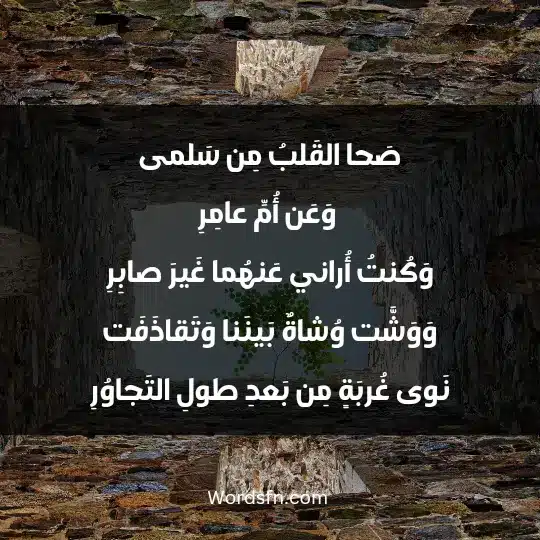 صَحا القَلبُ مِن سَلمى وَعَن أُمِّ عامِرِ وَكُنتُ أُراني عَنهُما غَيرَ صابِرِ وَوَشَّت وُشاةٌ بَينَنا وَتَقاذَفَت نَوى غُربَةٍ مِن بَعدِ طولِ التَجاوُرِ