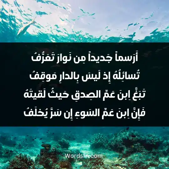 أَرَسماً جَديداً مِن نَوارَ تَعَرُّفُ تُسائِلُهُ إِذ لَيسَ بِالدارِ مَوقِفُ تَبَغَّ اِبنَ عَمِّ الصِدقِ حَيثُ لَقيتَهُ فَإِنَّ اِبنَ عَمِّ السَوءِ إِن سَرَّ يُخلَفُ