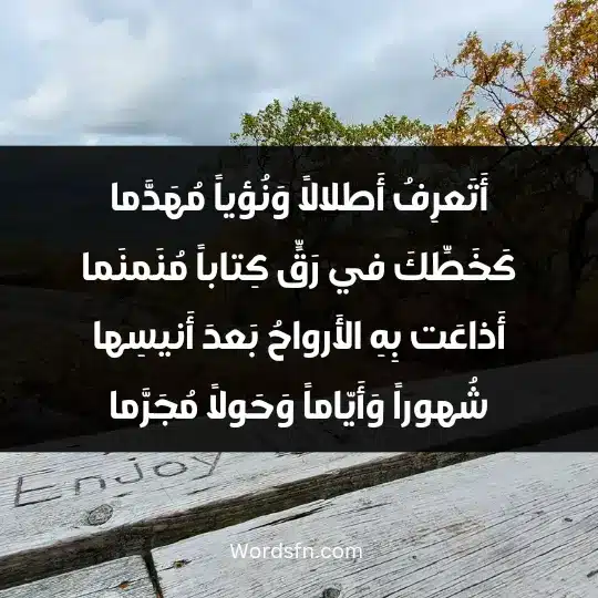 أَتَعرِفُ أَطلالاً وَنُؤياً مُهَدَّما كَخَطِّكَ في رَقٍّ كِتاباً مُنَمنَما أَذاعَت بِهِ الأَرواحُ بَعدَ أَنيسِها شُهوراً وَأَيّاماً وَحَولاً مُجَرَّما