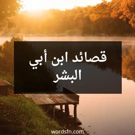 قصائد ابن أبي البشر