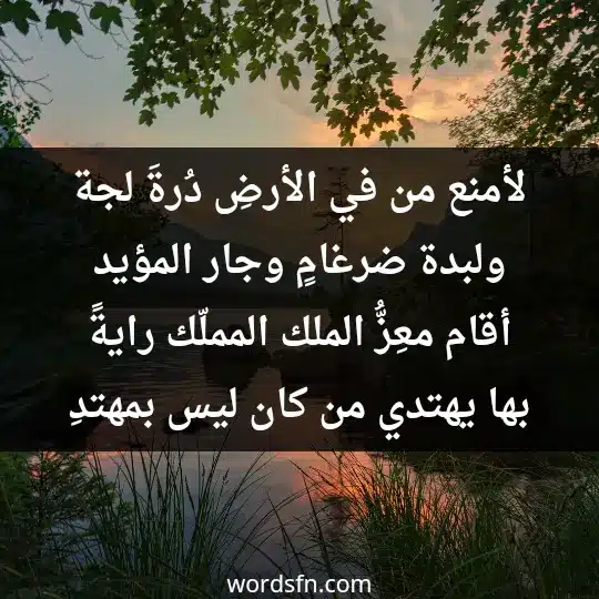 لأمنع من في الأرضِ دُرةَ لجة ولبدة ضرغامٍ وجار المؤيد أقام معِزُّ الملك المملّك رايةً بها يهتدي من كان ليس بمهتدِ