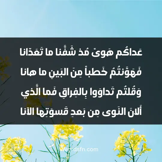 عَداكُم هَوىً مُذ شَفَّنا ما تَعَدّانا فَهَوَّنتُمُ خَطباً مِنَ البَينِ ما هانا وَقُلتُم تَداوَوا بِالفِراقِ فَما الَّذي أَلانَ النَوى مِن بَعدِ قَسوَتِها الآنا