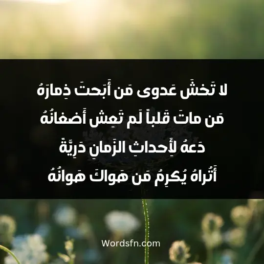 لا تَخشَ عَدوى مَن أَبَحتَ ذِمارَهُ مَن ماتَ قَلباً لَم تَعِش أَضغانُهُ دَعهُ لِأَحداثِ الزَمانِ دَرِيَّةً أَتُراهُ يُكرِمُ مَن هَواكَ هَوانُهُ