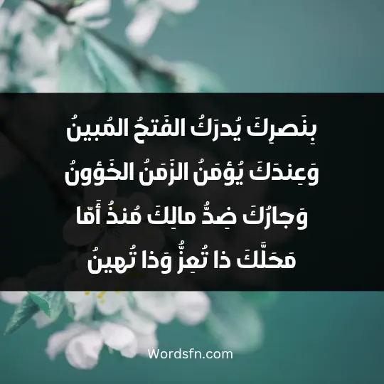 بِنَصرِكَ يُدرَكُ الفَتحُ المُبينُ وَعِندَكَ يُؤمَنُ الزَمَنُ الخَؤونُ وَجارُكَ ضِدُّ مالِكَ مُنذُ أَمّا مَحَلَّكَ ذا تُعِزُّ وَذا تُهينُ