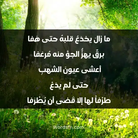 ما زالَ يخدَعُ قلبهُ حتى هَفا برقٌ يهزُّ الجوَّ منه مُرعَفا أعشى عيونَ الشهبِ حتى لم يدَعْ طرْفاً لها إلا قَضى أن يُطْرَفا
