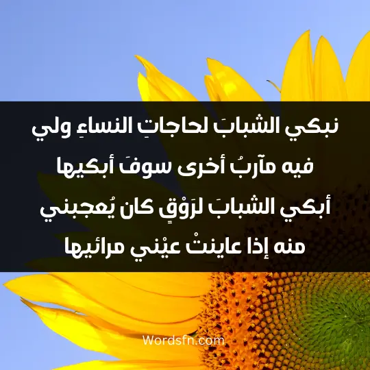 Poems of Ibn Rumi 2 - فن العبارات نبكي الشبابَ لحاجاتِ النساءِ ولي فيه مآربُ أخرى سوفَ أبكيها أبكي الشبابَ لرَوْقٍ كان يُعجبني منه إذا عاينتْ عيْني مرائيها