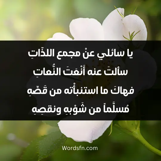 Poems of Ibn Rumi 3 - فن العبارات يا سائلي عنْ مجمع اللذّاتِ سألتَ عنه أَنْعَتَ النُّعاتِ فهاكَ ما استنبأْته من قَصِّهِ مُسلَّماً من شَوْبهِ ونقصِهِ