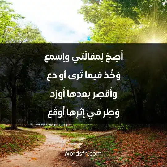 Poems of Ibn Zaydun1 - فن العبارات أَصِخ لِمَقالَتي وَاِسمَع وَخُذ فيما تَرى أَو دَع وَأَقصِر بَعدَها أَوزِد وَطِر في إِثرِها أَو قَع