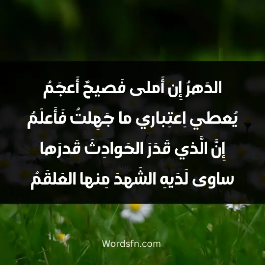 Poems of Ibn Zaydun2 - فن العبارات الدَهرُ إِن أَملى فَصيحٌ أَعجَمُ يُعطي اِعتِباري ما جَهِلتُ فَأَعلَمُ إِنَّ الَّذي قَدَرَ الحَوادِثَ قَدرَها ساوى لَدَيهِ الشَهدَ مِنها العَلقَمُ