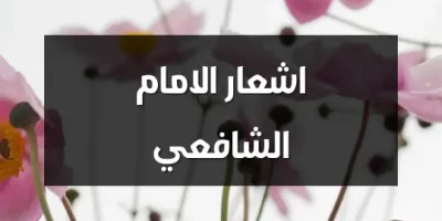 اشعار الامام الشافعي