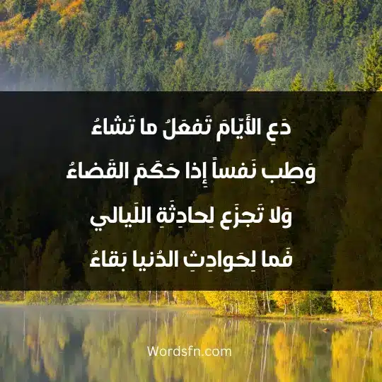 دَعِ الأَيّامَ تَفعَلُ ما تَشاءُ وَطِب نَفساً إِذا حَكَمَ القَضاءُ وَلا تَجزَع لِحادِثَةِ اللَيالي فَما لِحَوادِثِ الدُنيا بَقاءُ