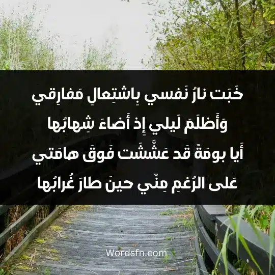 خَبَت نارُ نَفسي بِاشتِعالِ مَفارِقي وَأَظلَمَ لَيلي إِذ أَضاءَ شِهابُها أَيا بومَةً قَد عَشَّشَت فَوقَ هامَتي عَلى الرُغمِ مِنّي حينَ طارَ غُرابُها